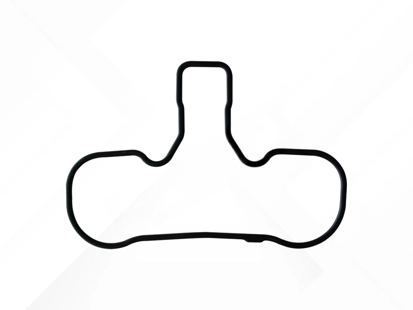 Caliper Body Seal