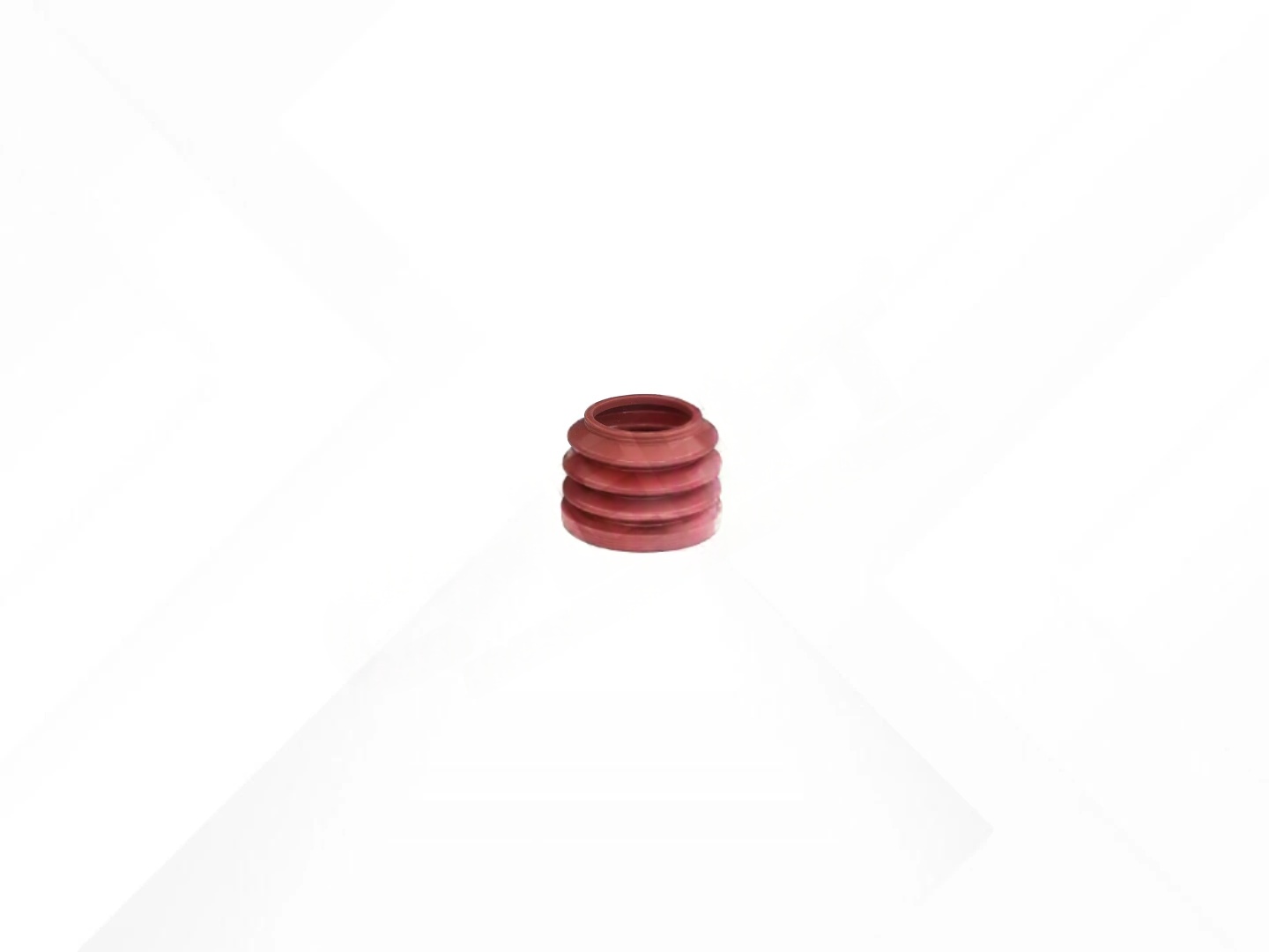 Inner Boot