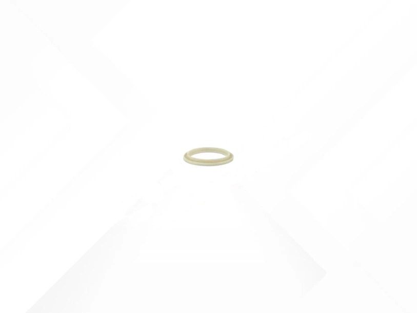 Inner Boot Ring
