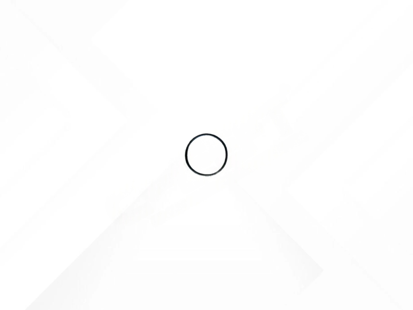 O-ring