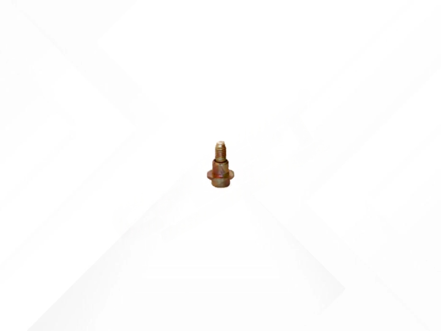 Screw with Rivet