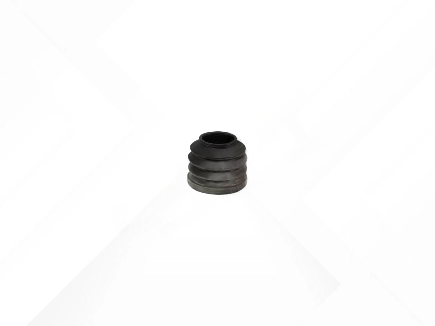 Inner Boot