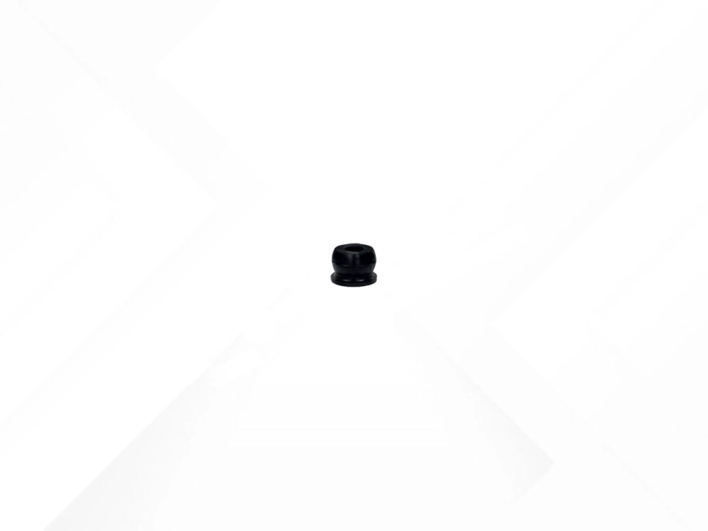 Dust Plug