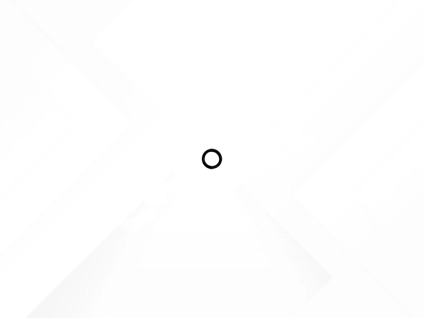 O-ring