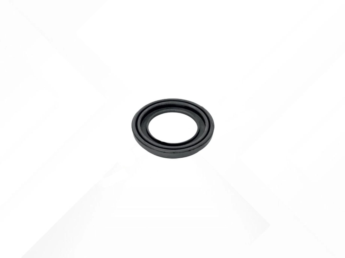 Seal 46 mm Piston