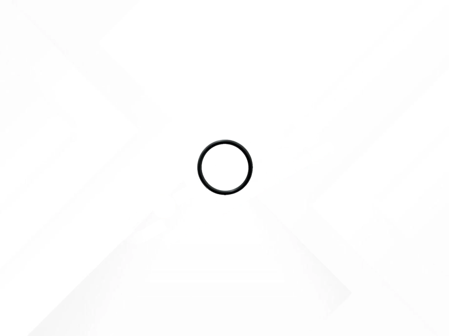 O-ring