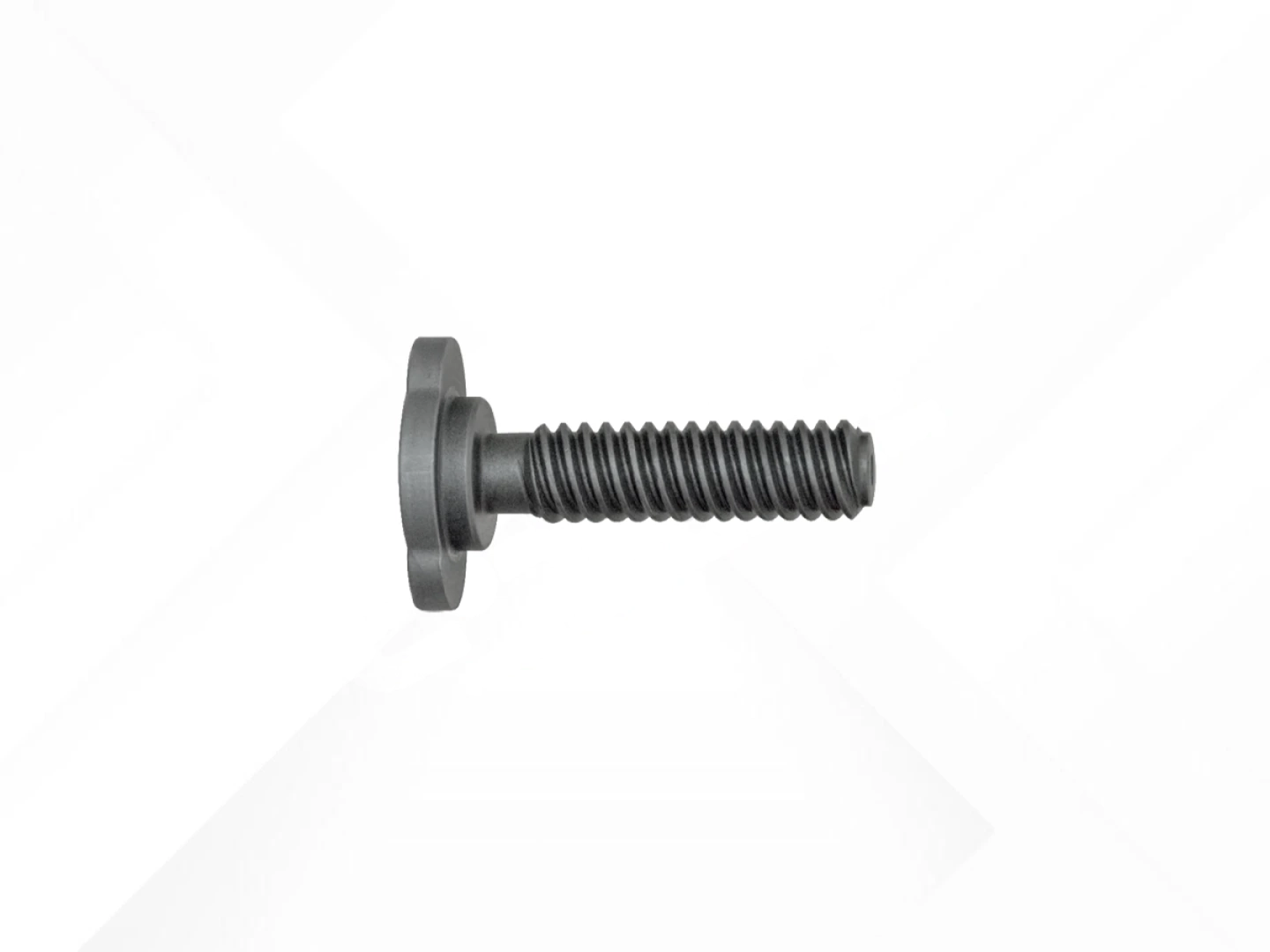 Adjusting Bolt